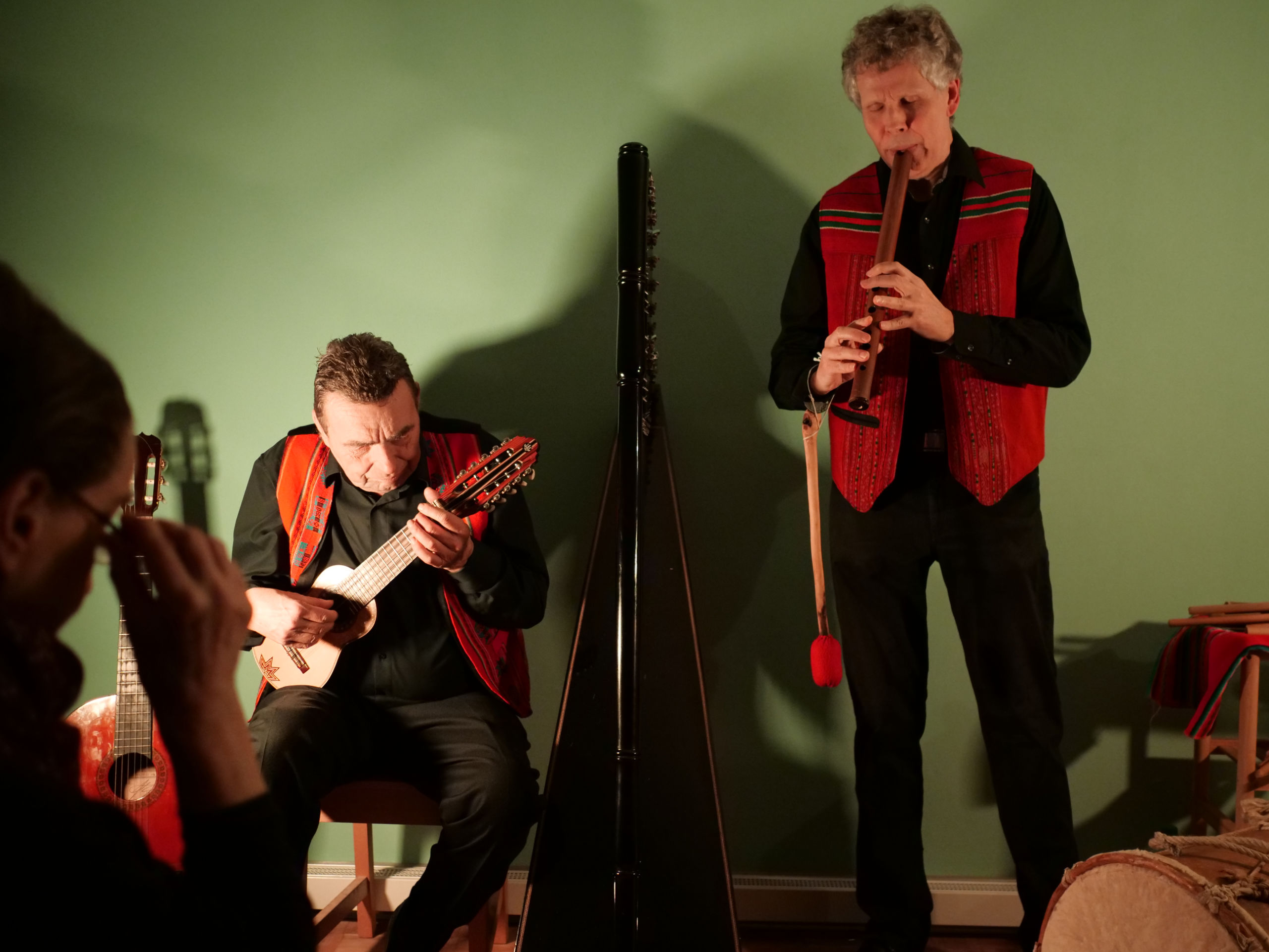 Charango und Quenacho